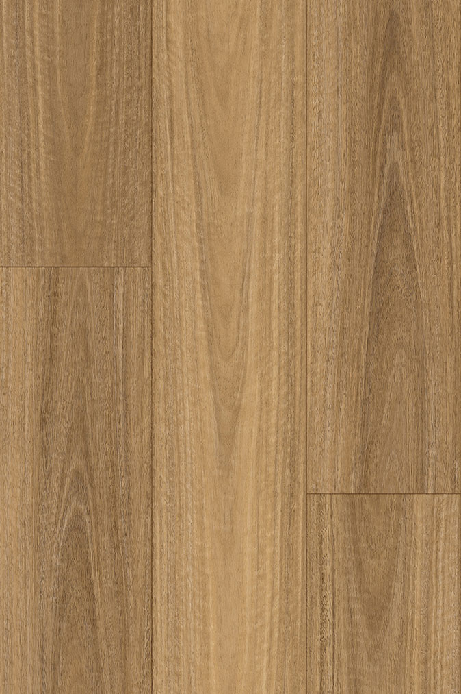NSW Spotted Gum